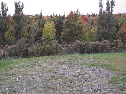 Whycocomagh Provincial Park