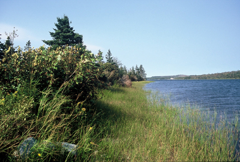 Porters Lake Provincial Park