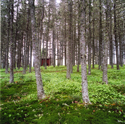Boylston Provincial Park